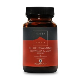 TERRANOVA Glucosamine, Boswellia & ΜSM Complex - Joint Support 50caps
