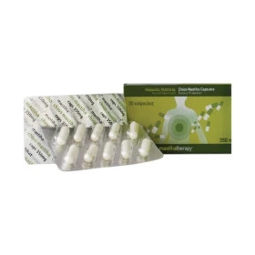 Pharmaq Mastiha Therapy Συμπλήρωμα Μαστίχας Χίου 350mg, 30 caps