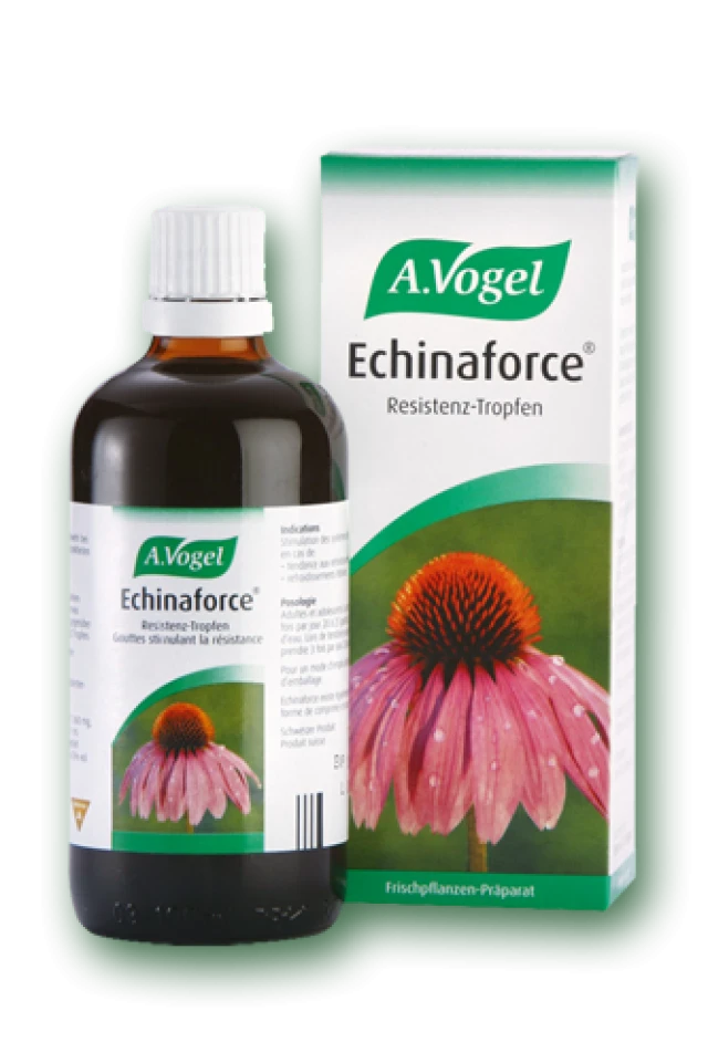 A.VOGEL ECHINAFORCE TINCT.50ML