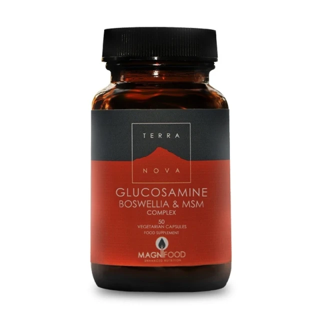 TERRANOVA Glucosamine, Boswellia & ΜSM Complex - Joint Support 50caps